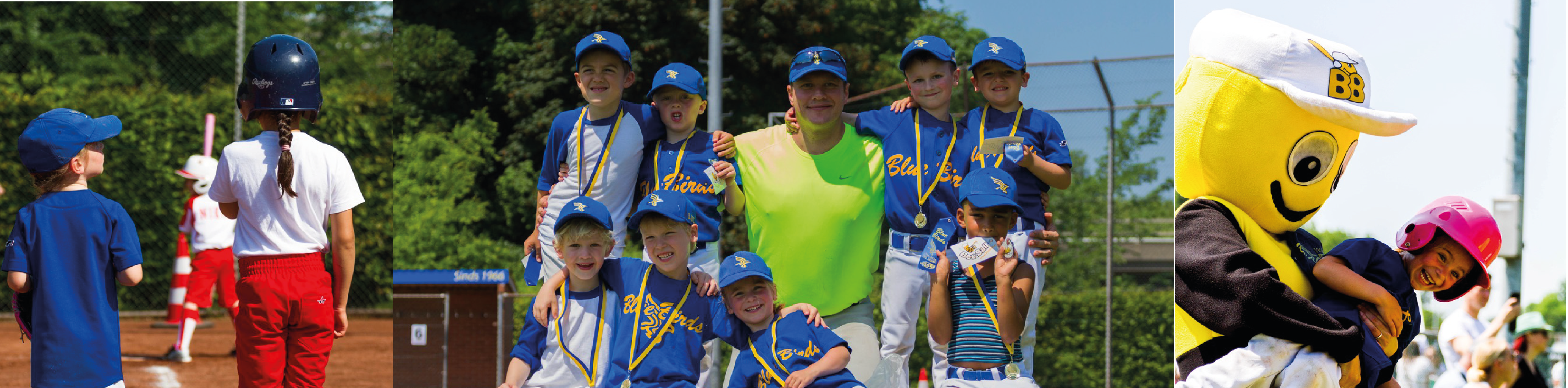 BeeBall banner